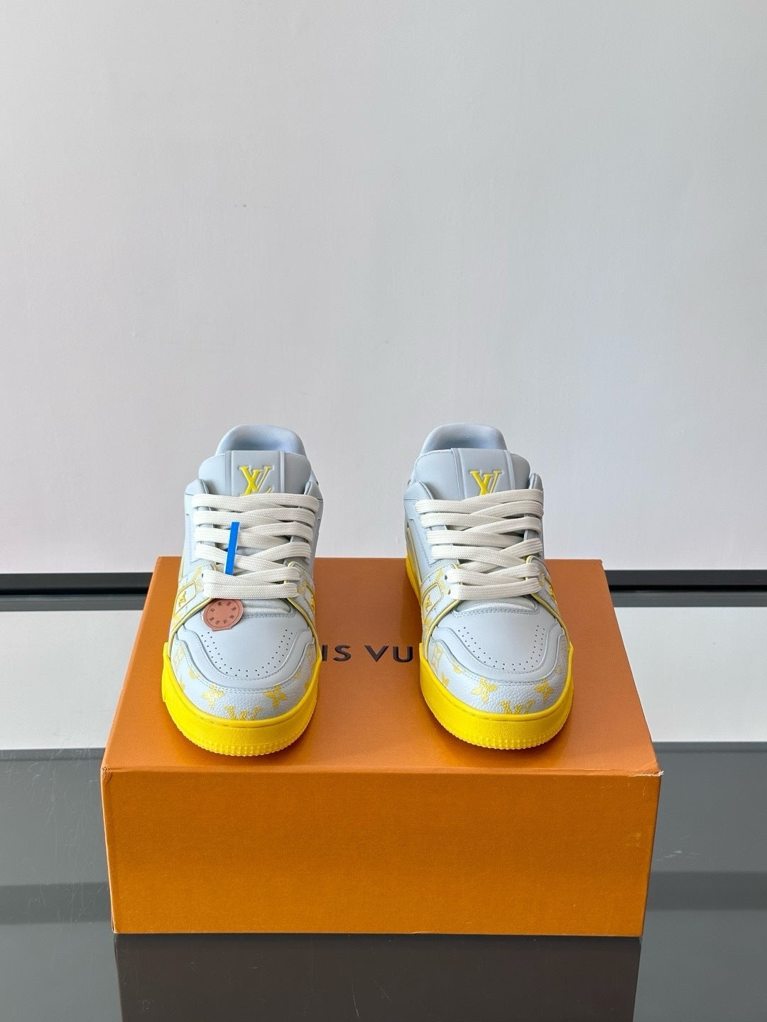 Louis Vuitton LV Trainer Sneakers